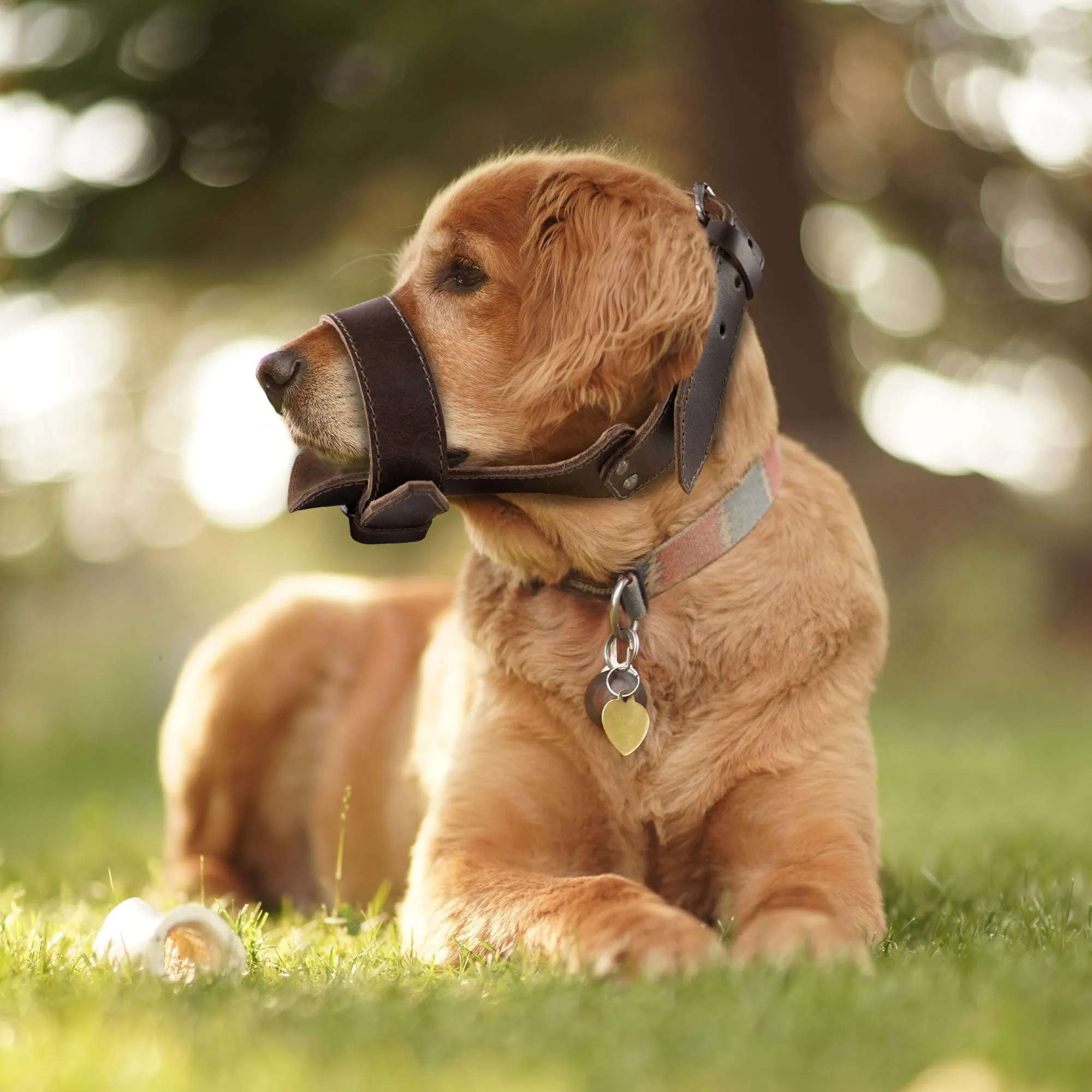 Adjustable Dog Muzzle