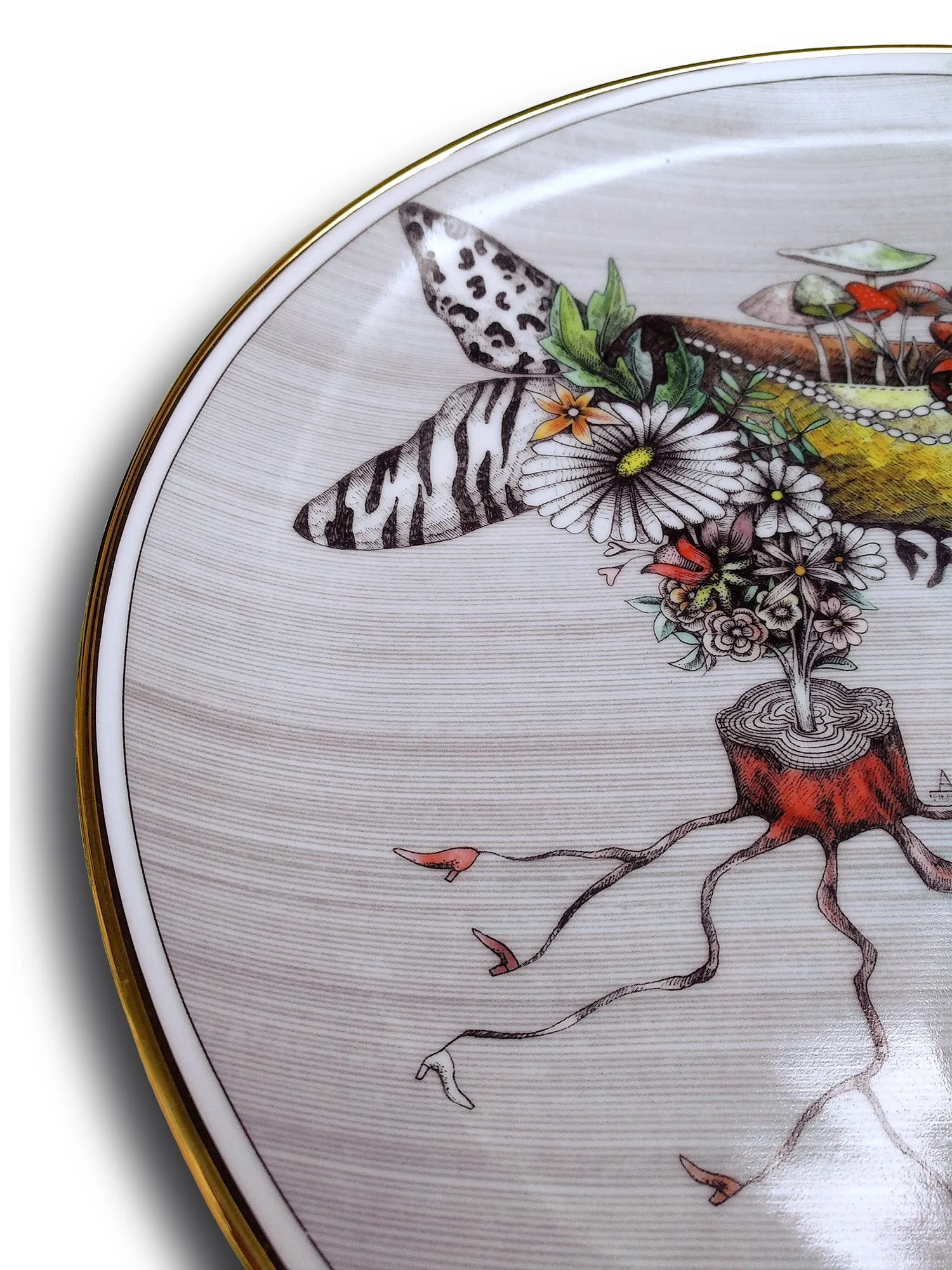 Dragana Adamov Collection Plate Miss Mushroom