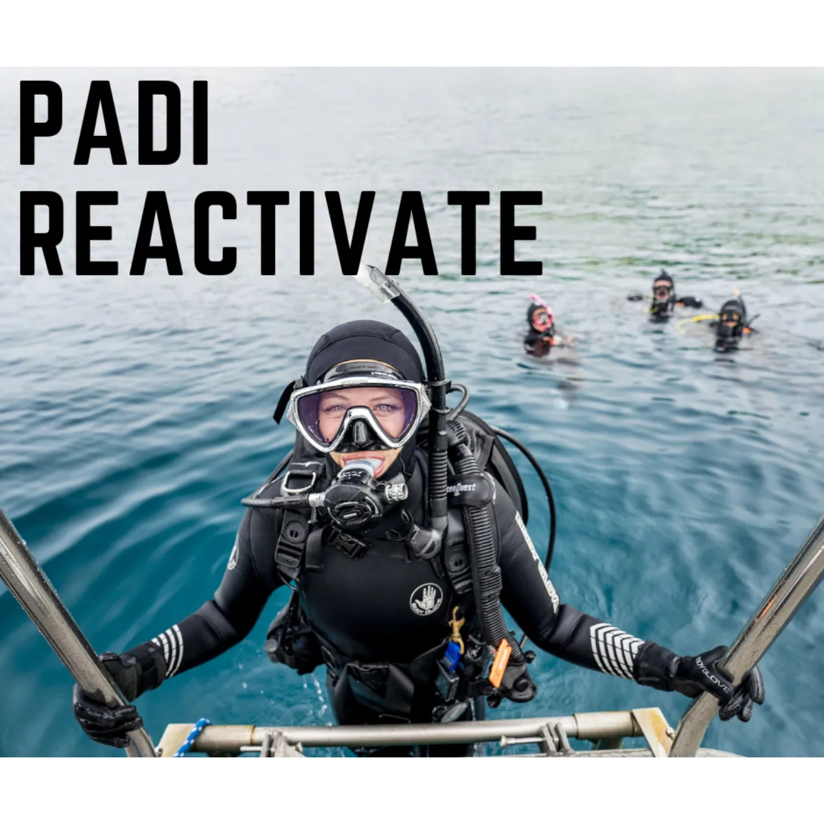 PADI Reactivate