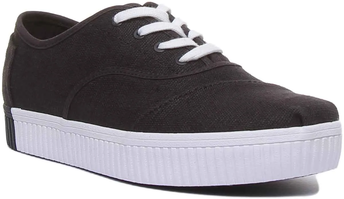 Toms Cordones In Black White