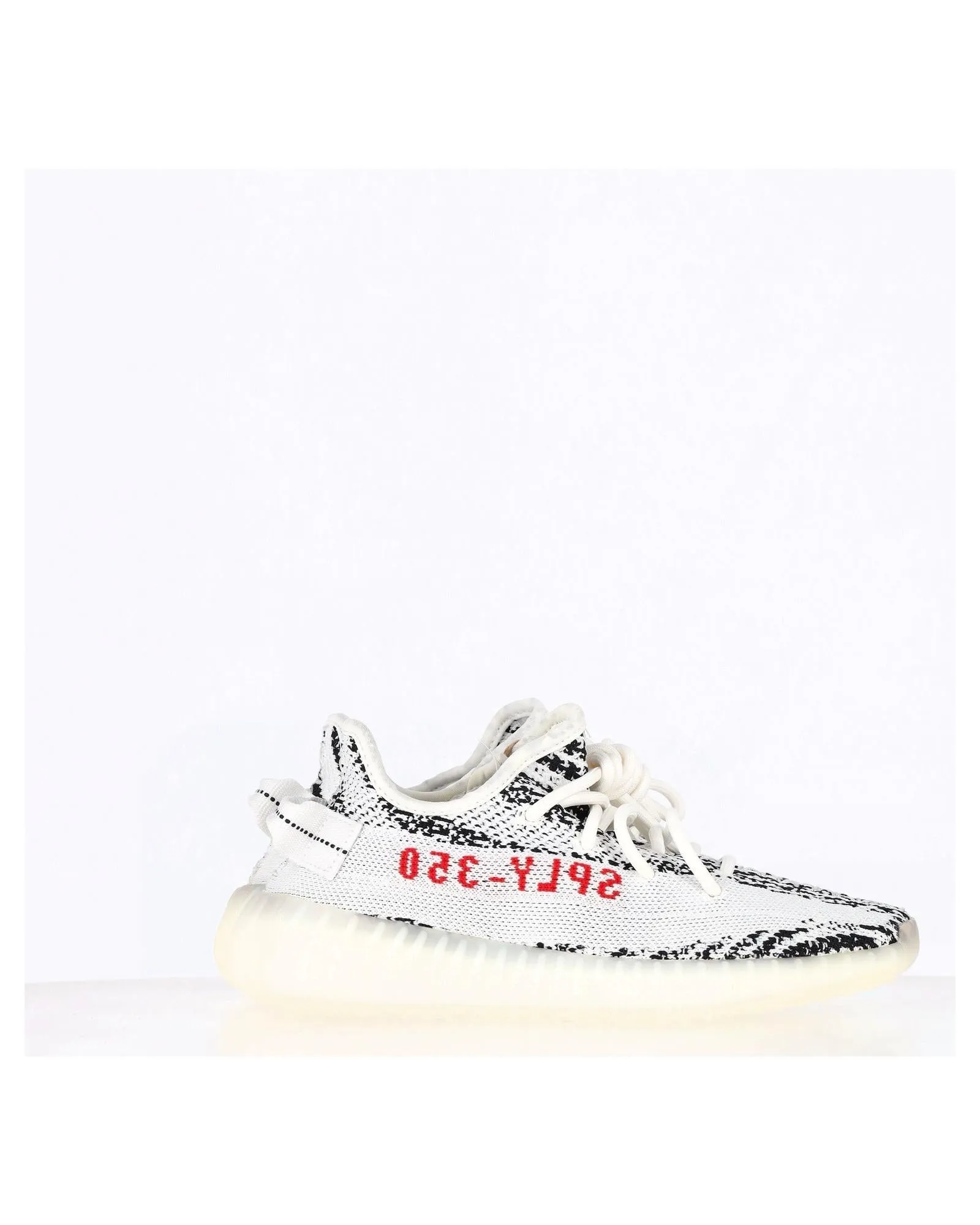 Zebra Print Canvas Sneakers with Boost Sole